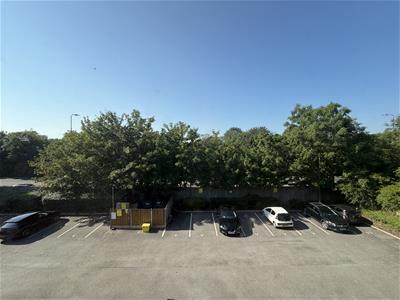 Picture 16